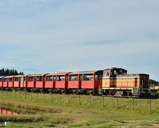 train des mouettes