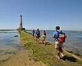 Phare de Cordouan